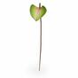 Künstliches Blatt Anthurie rosa-grün 50 cm