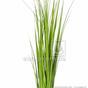 Künstliches Grasbündel Schilfrohr 45 cm