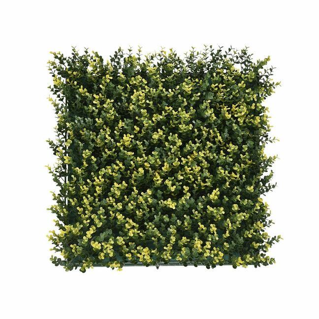 Künstliches Paneel Buxus - 50x50 cm