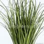 Künstliches Rillengrasbündel Schilfrohr 80 cm