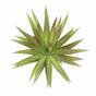Die künstliche Pflanze Agave bordorot 20 cm