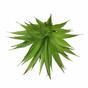 Künstliche Pflanze Agáve grün 18 cm