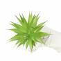Künstliche Pflanze Agáve grün 18 cm