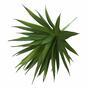Die künstliche Pflanze Agave grün 20 cm