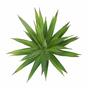 Die künstliche Pflanze Agave grün 20 cm