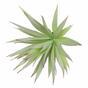 Die künstliche Pflanze Agave grünrot 20 cm