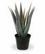 Kunstpflanze Aloe Vera 30 cm