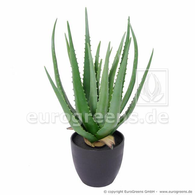 Kunstpflanze Aloe Vera 45 cm