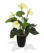 Kunstpflanze Anthurie weiß 40 cm