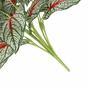 Die künstliche Pflanze Caladium mehrfarbig 50 cm