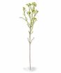 Kunstpflanze Chamelaucium uncinatum 65 cm