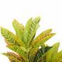Die künstliche Pflanze Crotonovec scheckig 55 cm