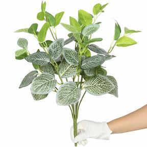 Kunstpflanze Fitónia weiß 45 cm
