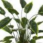 Kunstpflanze Hosta 50 cm