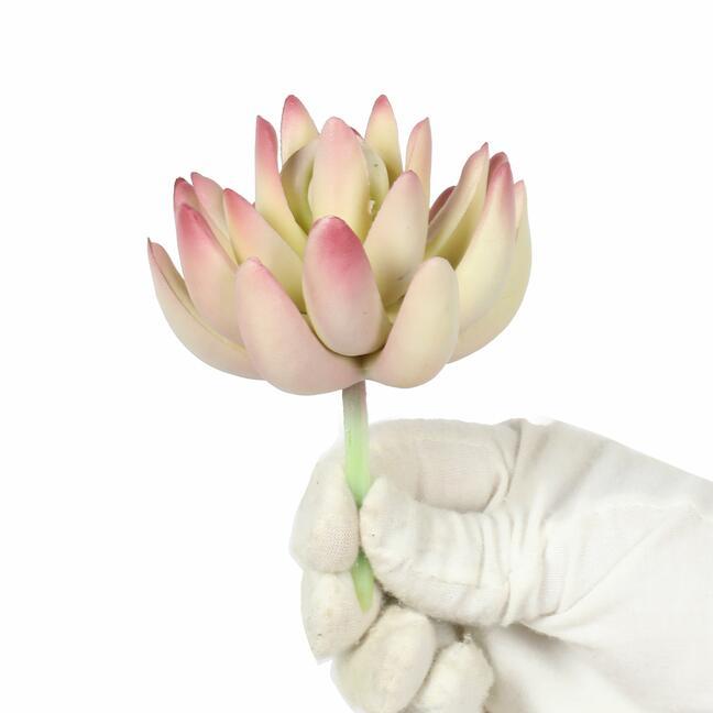 Kunstpflanze Lotus Echeveria 10 cm