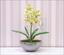 Kunstpflanze Orchidea Cymbidium hellgrün 50 cm