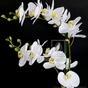 Kunstpflanze Orchidea weiß 65 cm