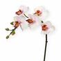 Kunstpflanze Orchidee rosa 50 cm