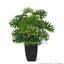 Kunstpflanze Philodendron xanadu 40 cm