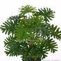 Kunstpflanze Philodendron xanadu 40 cm
