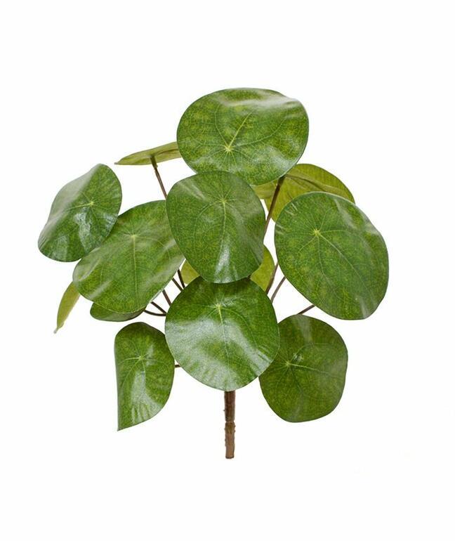 Kunstpflanze Pilea peperomioides 20 cm