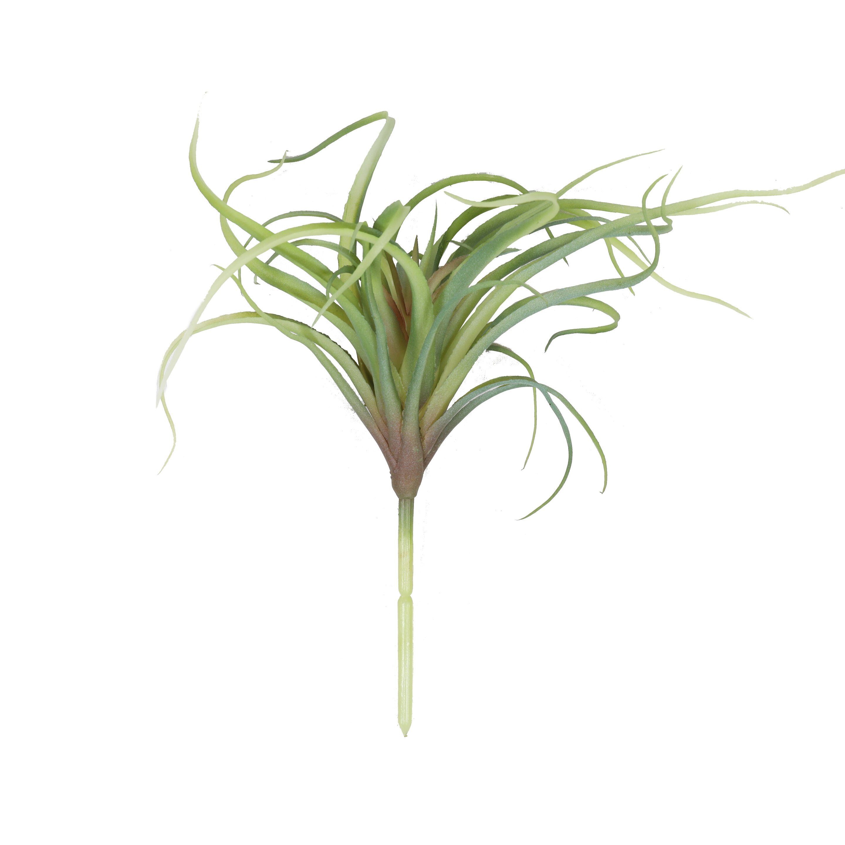Die künstliche Pflanze Tillandsia cm 15