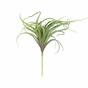 Die künstliche Pflanze Tillandsia 15 cm