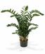 Kunstpflanze Zamiokulkas 120 cm