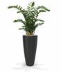 Kunstpflanze Zamiokulkas 120 cm