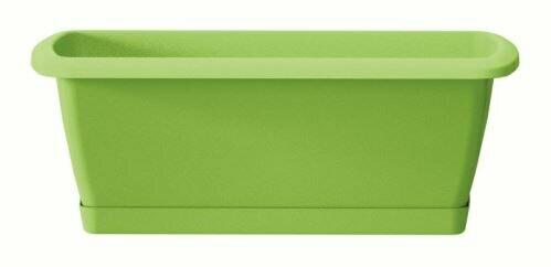 Schachtel mit Schale RESPANA SET lime 39,2 cm